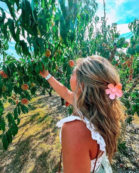 Peach Picking Outfit, Peach On The Beach, Peach Girl Aesthetic, Peach Picking Photoshoot, Peach Picking, Picking Peaches, Peach Picking Aesthetic, Peach Orchard Aesthetic, Aesthetic Peachy Pictures