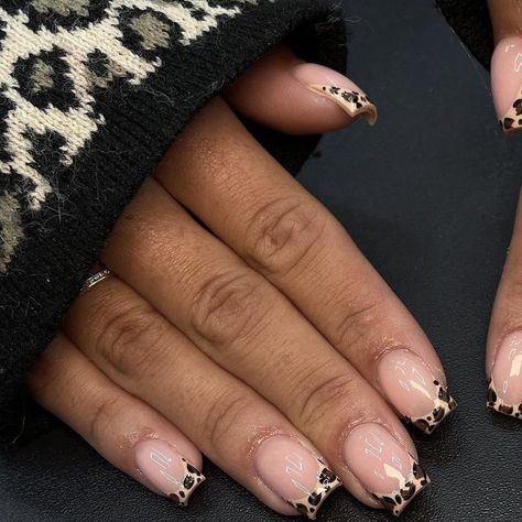 Fall Square Short Nails, Leopard Print French Tips Square, Cute Short Acrylic Nails Baddie, Biab Nails Leopard, Short Square Leopard Nails, Short Nails Leopard Print, Leopard Print Biab Nails, Short Cheetah Print French Tip Nails, Leopard Print Short Nails