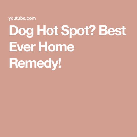 Dog Hot Spot? Best Ever Home Remedy! Dog Hot Spot Remedy Diy, Hot Spots On Dogs, Dog Hot Spots, Essential Oils Dogs, Oils For Dogs, Animal Health, Hot Spots, Homemade Dog, Diy Dog Stuff