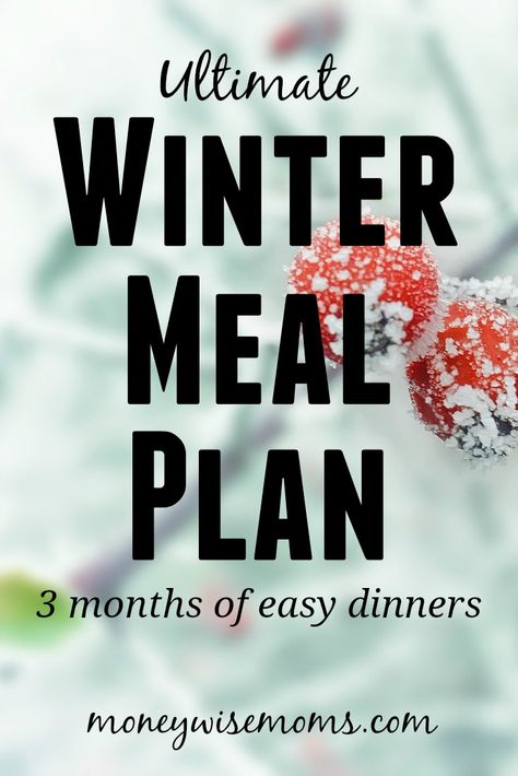 Winter Meal Plan, Winter Party Foods, Recipes For 2, Peppermint Recipes, Monthly Menu, Plane Food, Meal Planning Menus, Monthly Meal Planning, Healthy Recipes On A Budget