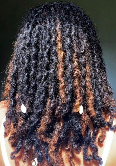 Dreadlock Highlights, Highlights On Locs, Locs With Highlights, Loc Highlights Black Women, Curly Locs, New Hair Do, Dreadlock Style, Dreadlock Hairstyles For Men, Beautiful Dreadlocks