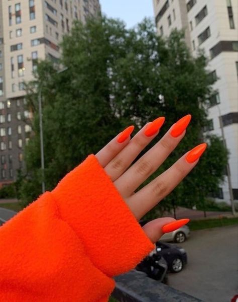 Neon Orange Nails, Orange Acrylic Nails, Pink Nail Colors, Simple Acrylic Nails, Big Garden, Diy Slime, Neon Nails, Orange Nails, Hot Nails