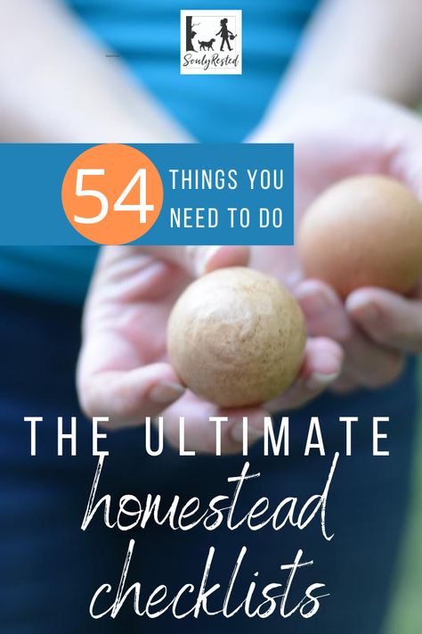 These practical lists of things to do on a homestead--in every season--is inspriting. 54 things to do every season, every year, on a small farm. This is a great place to get started and get organized. This Ultimate Homesteading Checklist is one to pin and refer back to every season. #homesteadchecklist #homesteadtodolist #todolist #smallfamilyfarm Homesteading Checklist, Homesteading Life, Homestead Animals, Wild Food Foraging, To Do Checklist, Homestead Life, Natural Cleaning Recipes, Backyard Beekeeping, Farm Wife