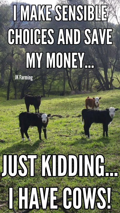 Funny Farm Jokes, Homestead Memes, Funny Country Quotes, Farm Life Quotes, Livestock Quotes, Farm Jokes, Cow Barn, Cow Quotes, Farm Quotes