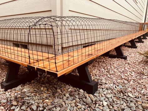 Diy Catios For Cats Outside Easy, Catio Ideas Cat Window, Window Catio Ideas For Cats Outdoor, Outside Cat Tunnel, Cat Tunnel Outdoor Window, Catio Window, Catio Tunnel From Window, Cat Tunnel Diy, How To Build A Catio For Cats