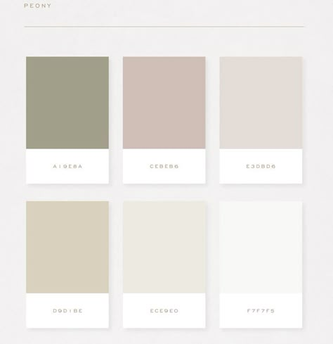 Off White Color Code Canva, Color Pallete Moodboard, Off White Pallete Color Palettes, Neutral Pantone Palette, Bright And Airy Color Palette, Minimal Color Pallete, Off White Hex Code, Cream And White Color Palette, Google Calendar Color Scheme Neutral