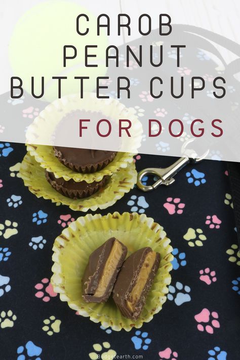 Looking for a yummy, peanut butter cups for dogs recipe that doesn't contain chocolate? Check out this delicious dog treat recipe featuring carob chips here! Dog Treats Homemade Peanut Butter, Baby Treats, Mini Peanut Butter Cups, Dogs Treats, Peanut Butter For Dogs, Pet Treats Recipes, Homemade Peanut Butter Cups, Easy Dog Treat Recipes, Dog Biscuit