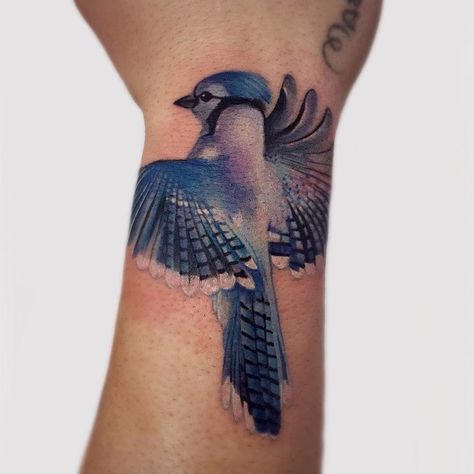 Blue Jay Tattoo, Jay Tattoo, Bluebird Tattoo, Beautiful Flower Tattoos, Tattoo Now, Gorgeous Tattoos, Old School Tattoo Designs, Stylist Tattoos, Bird Tattoo