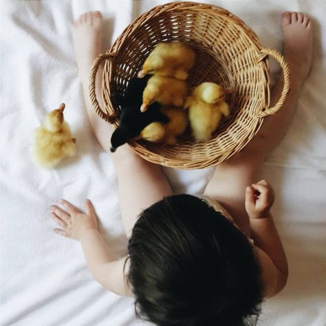 @ol_step My Sweetheart, Easter Pictures, Easter Photos, Farms Living, Easter Chicks, Wicker Laundry Basket, Country Girls, Beautiful Birds, Decorative Wicker Basket