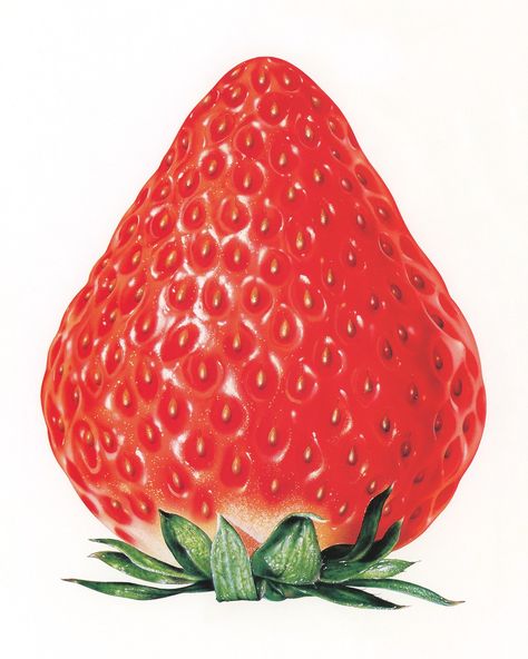 martina on Twitter: "masao saito, 1982 https://t.co/2MupCdvZRP" / Twitter Collage Board, Fruit Photography, Fruit Illustration, Airbrush Art, Arte Inspo, Black And White Drawing, Bottle Design, Art Reference Photos, Collage Art