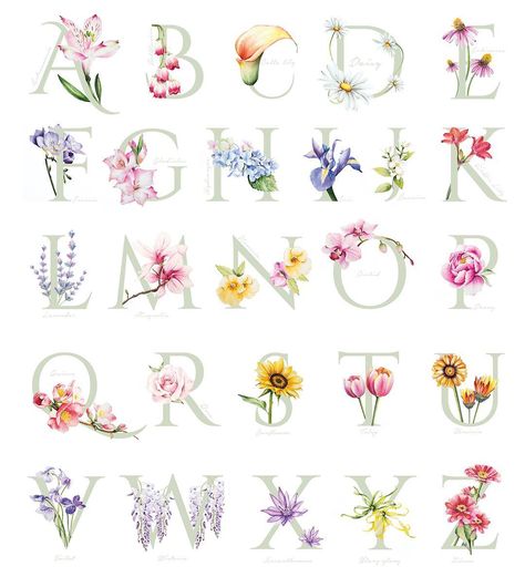 Flower alphabet 🌸🌷🌹🌼🌺 #floweralphabet #watercolorpainting #floralpainting Flower Words, Cake Illustration, Alfabet Letters, Flower Alphabet, Watercolor Lettering, Hand Lettering Alphabet, Flower Letters, Alphabet Art, Alphabet Design