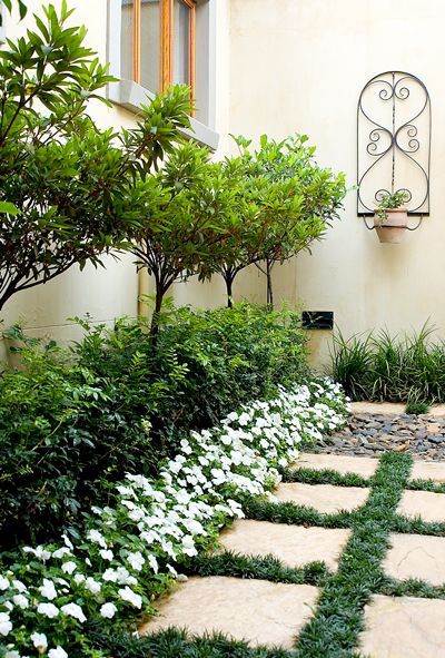 Mondo Grass Landscaping, Murraya Exotica, Garden Pavers, Contemporary Garden Design, Small Courtyard Gardens, Grasses Landscaping, Garden Entrance, Topiary Trees, Porch Garden