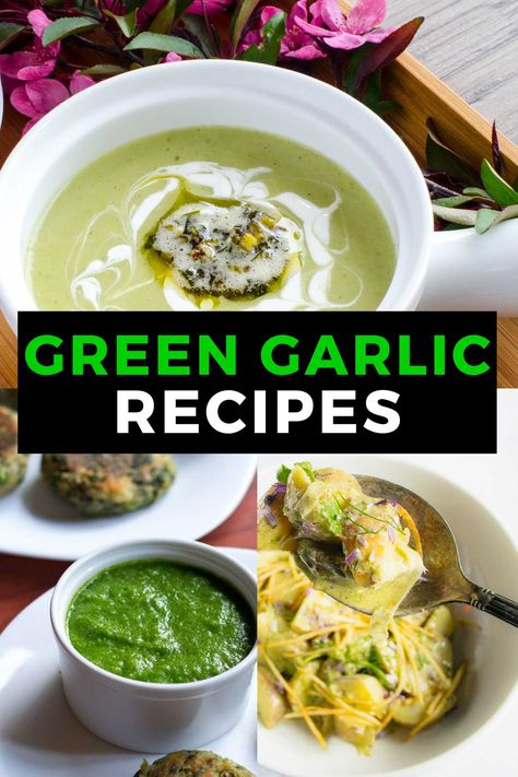 Learn 10 ways to cook with green garlic. Also known as spring garlic, it is young garlic that appears early, it is harvested prematurely and has a delicate flavour. Different from garlic scapes, they appear earlier in the growing season. Many ways to preserve green garlic and cook with it and very popular in Indian recipes.   Spring garlic recipes. Young garlic recipes. Spring recipes.  #Indian #healthy #veggies #greengarlic #springrecipes #garlicrecipes #springgarlic #pastarecipes Garlic Flowers Recipe, Garlic Scape Soup, Green Garlic Recipes, Scape Recipes, Fiddlehead Recipes, Vegan Mushroom Risotto, Spring Garlic, Garlic Scapes, Garlic Uses