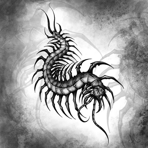 Blackwork Centipede Tattoo, Centapeid Drawing, Kaneki Centipede Tattoo, Centipede Illustration, Centipede Tattoo Design, Centipede Drawing, Centipede Tattoo, Netherlands Art, Red Tattoo Ideas