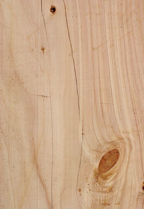 WW81: Wood Texture: Macrocarpa pine | by Craig Jewell Photography Light Wood Texture, Wooden Panelling, Fresh Farmhouse, Art Fox, Wood Sample, Wood Designs, Texture Mapping, Material Textures, Materials And Textures