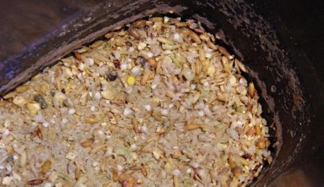 10 Foods to Ferment for Chickens - from Scratch Cradle Barnyard Chickens, Fermenting Foods, Food For Chickens, Goat Milk Recipes, Chicken Diet, Meal Worms, Kefir Recipes, Vegetable Patch, Raising Rabbits