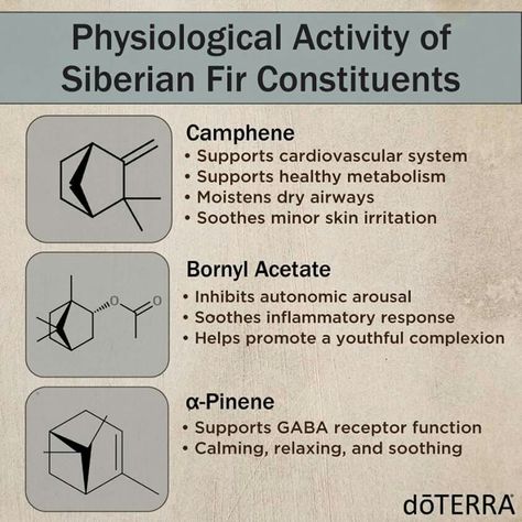 Siberian Fir, Doterra Business, Healthy Metabolism, Cardiovascular System, Body Systems, Doterra Essential Oils, Doterra, Irritated Skin, Over The Years