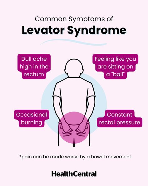 Experiencing some aches in your behind? It could be levator syndrome. Check out the warning signs and find out how you can ease your discomfort at the link. Lima Syndrome, Havana Syndrome, Marfans Syndrome Signs, Ileocecal Valve Syndrome, Levator Ani, Myalgic Encephalitis Symptoms, Muscle Spasms, The Warning, Muscle Groups