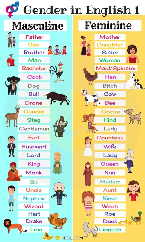 English Learning: Noun: Gender Masculine And Feminine Worksheet, Gender In English, Gender Of Animals, Gender Of Nouns, Gender Words, Grammar For Kids, Masculine And Feminine, Learning English For Kids, English Verbs