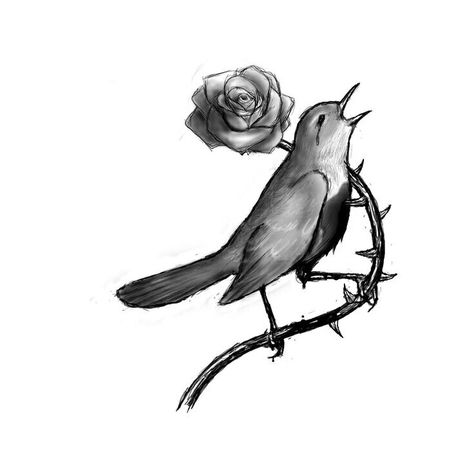 The nightingale and the rose by Oscar Wilde Oscar Wilde Tattoo Ideas, Oscar Wilde Tattoo, Nightingale Tattoo, The Nightingale And The Rose, Nightingale Bird, Bird Tattoo Meaning, The Nightingale, Rose Illustration, Rose Tattoo Design