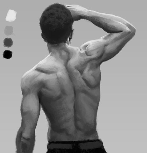 Male Back Study #anatomysketch #photostudy #art #practice #digitalpainting Back Study Reference, Human Body Anatomy Drawing Male, Male Body Sketch Back, Man Anatomy Back, Male Back Painting, Male Form Reference, Male Back Muscles Drawing, Male Anatomy Back View, Male Back Anatomy Drawing