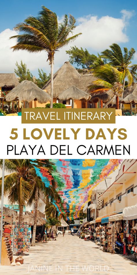 Ocean Maya Royale Playa Del Carmen, Playa Del Carmen Itinerary, Mexico Things To Do, Playa Del Carmen Mexico Things To Do In, Things To Do In Playa Del Carmen, Things To Do In Cancun Mexico, Playa Del Carmen Mexico Outfits, Playa Del Carmen Excursions, Cancun Itinerary