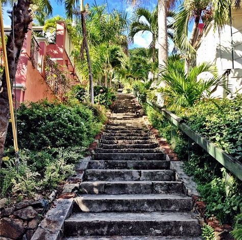 The 99 steps leading up to Blackbeard's castle in St. Thomas. #passporttoparadise St Thomas Vacation, St Thomas Virgin Islands, Charlotte Amalie, Carribean Cruise, Virgin Island, United States Virgin Islands, Pirate Treasure, Caribbean Cruise, St Thomas