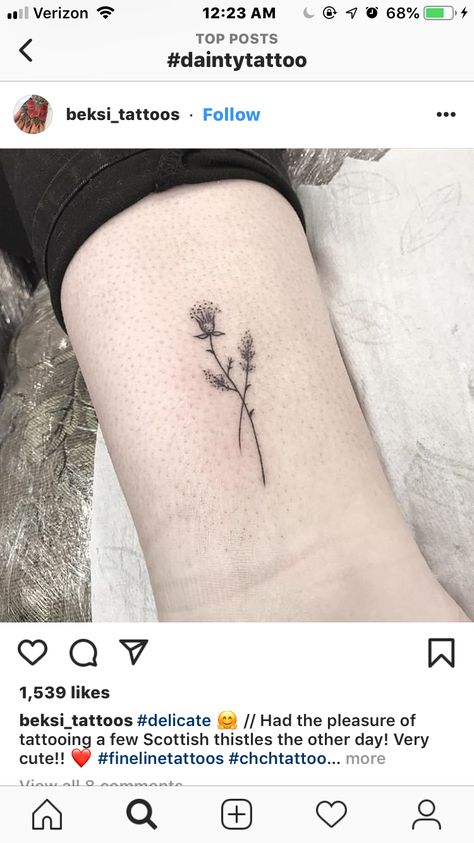 Scottish Thistle Drawing, Ember Tattoo, Thistle Drawing, Outlander Tattoos, Scotland Tattoo, Scottish Thistle Tattoo, Scottish Tattoo, Scottish Tattoos, Thistle Tattoo