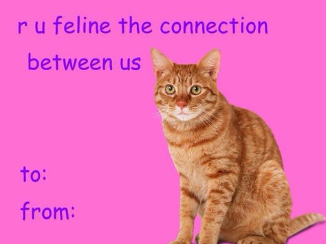 Valentines Day Cards Tumblr, Goofy Valentines, Weird Valentines Cards, Funny Valentines Cards For Friends, Meme Valentines Cards, Corny Valentines, Bad Valentines Cards, V Day Cards, Valentine Memes