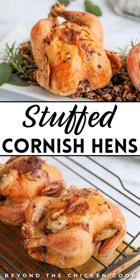 These stuffed Cornish hens make for a delicious and homemade holiday dinner, perfect for a festive Christmas feast. These easy-to-make delights are baked to perfection, offering a flavorful and satisfying meal that impresses. With a simple preparation process, these stuffed hens are a tasty centerpiece for your holiday table. Try this recipe now! Cornish Hen Stuffed With Wild Rice, Cornish Game Hen Recipes For Thanksgiving, Cornish Hen Stuffed, Cornish Hens With Stuffing, Thanksgiving Cornish Hen Recipe, Cornish Hen For Thanksgiving, Stuffed Cornish Game Hen Recipes, Cornish Hen Recipe Stuffed, Cornish Hen Stuffing