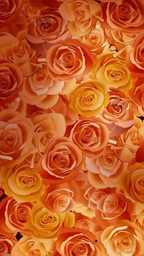 Wallpaper iPhone Orange Roses Wallpaper, Swadhisthana Chakra, Colorful Gardens, Orange Wallpapers, Fleur Orange, Rainbow Aesthetic, Orange You Glad, Orange Aesthetic, Orange Wallpaper