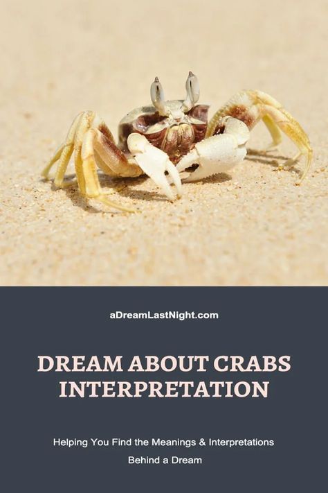 Dream About Crabs: Symbolism & Interpretation to Know Crab Symbolism, Introvert Personality, Emotional Strength, Life Decisions, Dream Meanings, Interpersonal Relationship, Dream Interpretation, Change Is Good, Crab