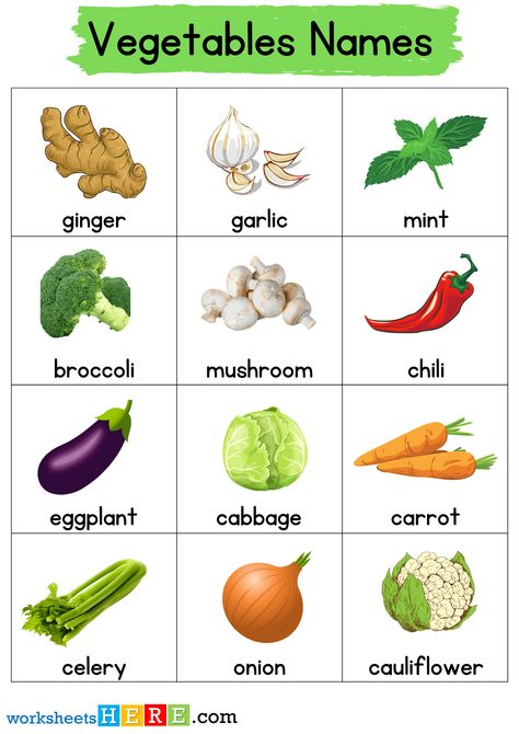 +35 Vegetables Names with Pictures Flashcards Worksheets For Kids - WorksheetsHere.com Vegetables Flashcards For Kids, Vegetables Names With Pictures, Ash Gourd, Bitter Gourd, Flashcards For Kids, Collard Greens, Red Cabbage, Green Chilies, Parsnips