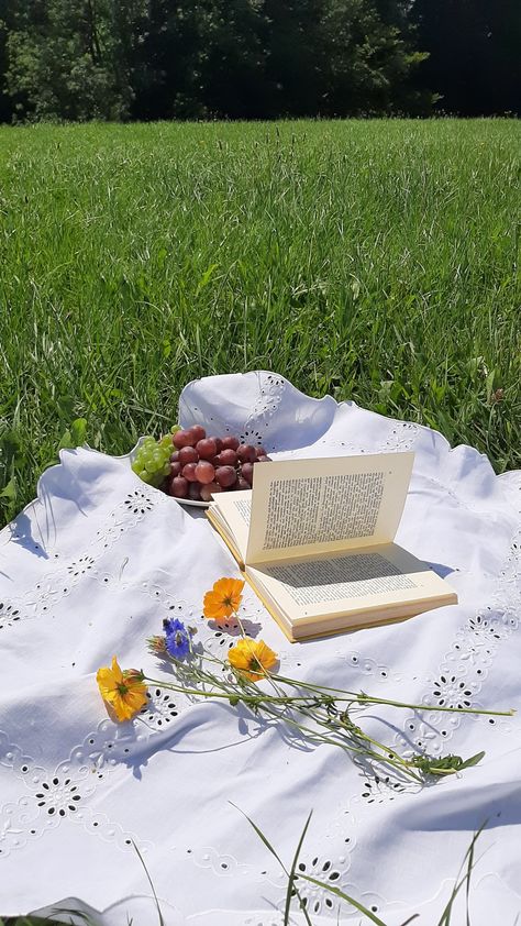 summer picnic in Switzerland Picnic In Switzerland, Nature Picnic Aesthetic, Bookish Photoshoot, Field Picnic, Irish Summer, French Picnic, Picnic Photography, Freedom Travel, Backyard Picnic