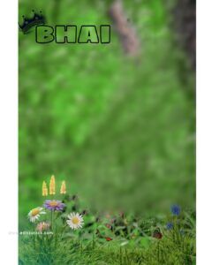 Jungle Photography, Cb Editing Background, Cb Editing, Cb Background, Background Images Free Download, Beach Background Images, Studio Background Images, Blur Background In Photoshop, Photoshop Pics