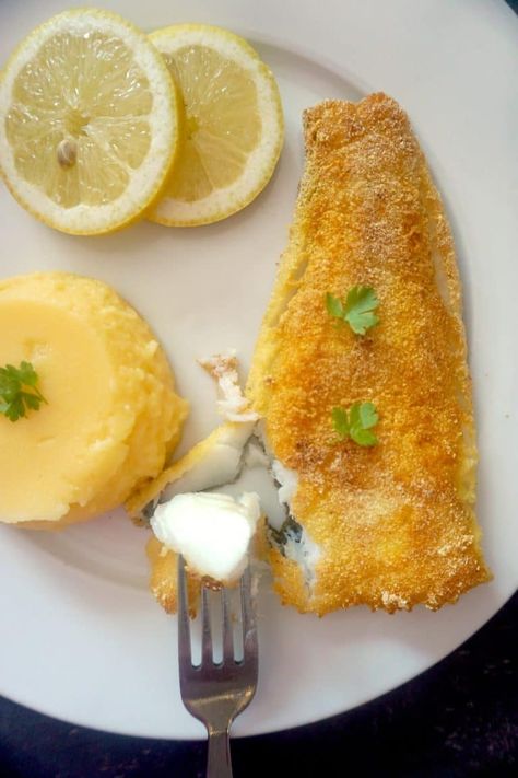 Corn Meal Fish Breading, Cornmeal Fish Breading, Fried Cod Fish Recipes, Fried Cod Fish, Fried Trout, Fried Flounder, Breaded Cod, Crusted Cod, Flounder Recipes