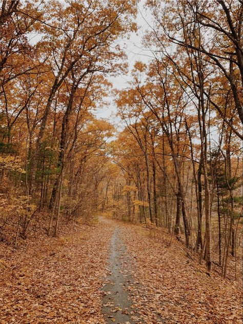 Fall Aesthetic Outdoors, Fall Outdoors Aesthetic, Fall Hikes, Fall Running Aesthetic, Fall Health Aesthetic, Running In Fall Aesthetic, Hiking In The Fall, Fall Fitness Aesthetic, Shelby Core Aesthetic