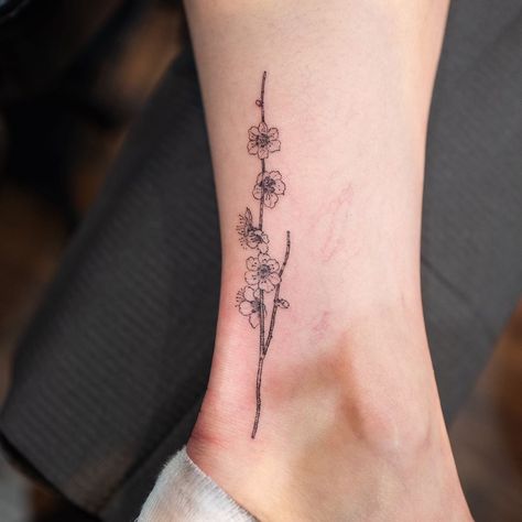 Plum Flowers Tattoo, Plum Flower Tattoo, Plum Tattoo, Plum Blossom Tattoo, Sakura Tattoo, Crazy Tattoos, Family Tattoo, Plum Blossoms, Plum Flowers