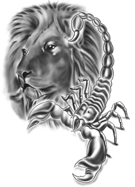 Lion And Scorpion Tattoo Together, Lion Scorpion Tattoo, Scorpion And Lion Tattoo, Leo And Scorpio Tattoo, Scorpion Tattoos, Scorpio Zodiac Tattoos, Leo Zodiac Tattoos, Scorpio Art, Petit Tattoo