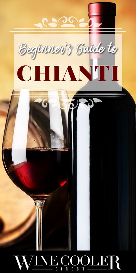 Beginner’s Guide to Chianti Thanksgiving Wine Pairing, Wine Pairing Menu, Chicken White Wine Sauce, Wine Pairing Party, Red Wine Pairing, Red Wine Benefits, Zinfandel Wine, White Wine Spritzer, Wine Pairing Dinner