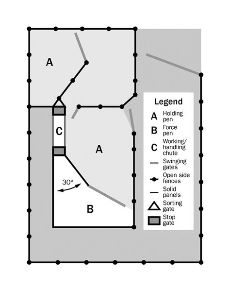 Diagram of a basic sheep handling facility for sheep flocks. It is an upside down L-shape. Moveable gates allow the holding pens to be divided into small sections to create holding pens and force pens. The animals move from the top of the upside down L, along the side, to the bottom of the upside down L. At the bottom, the animals can then be forced into a smaller area along the side of the L for handling. Sheep Corral Ideas, Small Cattle Working Pens, Sheep Working Facility, Sheep Yards Designs, Cattle Pens Ideas, Cattle Working Pens Design, Sheep Pen Ideas, Cattle Pens, Cattle Facility