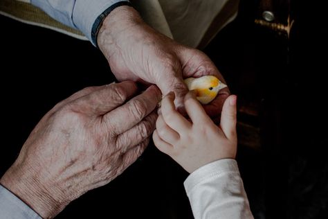 Grandpa Aesthetic, Family Generations, Old Hands, Pastel Wallpaper, Photo Library, Character Aesthetic, Me Me Me Song, Earn Money, Aesthetic Pictures