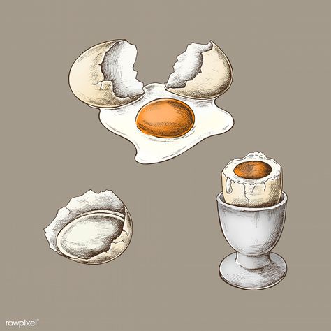 Cracked eggshell and boiled egg vector | premium image by rawpixel.com / marinemynt Egg Cracking Drawing, Cracked Egg Drawing, Egg Drawing, Egg Illustration, Watermelon Cartoon, Vintage Food Posters, Egg Watercolor, Breakfast Cooking, Illustration Kitchen