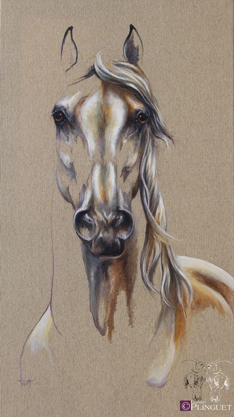 Horse Paintings Acrylic, Arabian Horse Art, Horse Canvas Painting, Horse Art Drawing, Native Artwork, Painted Horses, Stippling Art, Horse Sketch, Horse Canvas