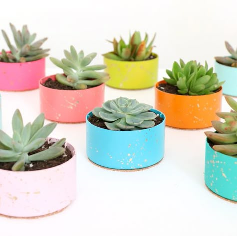 Diy Planters Indoor, Planters Diy, Succulent Planter Diy, Diy Confetti, Succulent Planters, Diy Gold, Tin Can Crafts, Mini Succulents, Vanilla Latte