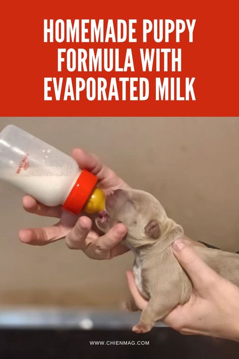 Formula for Puppy Milk Replacement Using Evaporated Milk Puppy Formula Recipe, Puppy Milk Replacement Recipe, Gruel Recipe, Bottle Feeding Puppies, Evaporated Milk Recipes, Milk Replacement, Foods Dogs Can Eat, Meals For Three, Puppy Formula