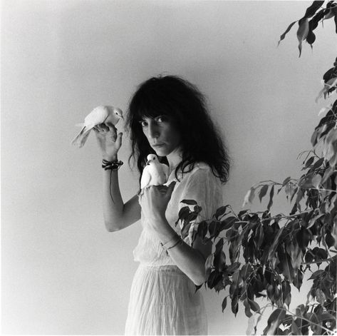 Patti Smith Robert Mapplethorpe, Robert Mapplethorpe Photography, Patty Smith, Louis Garrel, David Bailey, Robert Frank, Monday Inspiration, Robert Mapplethorpe, Charlotte Gainsbourg