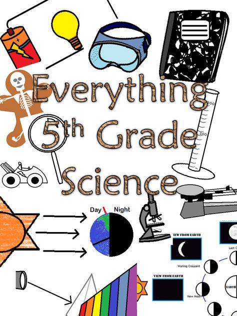 Fifth Grade Science Classroom, 5th Grade Science Classroom Setup, 5th Grade Science Anchor Charts, 5th Grade Science Classroom, 5th Grade Projects, 5th Grade Science Worksheets, 5th Grade Lesson Plans, 5th Grade Science Experiments, Fifth Grade Science