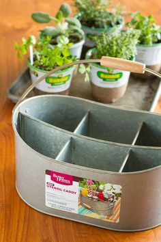 Diy Indoor Herb Garden, Growing Food Indoors, Indoor Vegetables, Herb Garden Ideas, Herb Garden In Kitchen, Diy Herb Garden, Herb Garden Design, Indoor Vegetable Gardening, Vertical Herb Garden