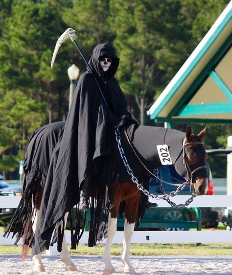 Grim reaper horse costume Horse Halloween Ideas, Horse Fancy Dress, Horse Halloween Costumes, Batman Halloween, Horse Arena, Horse Games, Horse Costumes, Horse Inspiration, Horse Gear